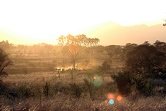 Hot and dusty, late afternoon