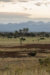 The Nyambene hills are the catchment for Meru's many rivers