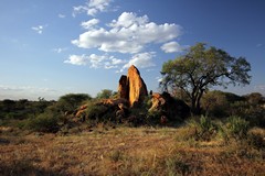 Late afternoon sun on a prominent rocky outcrop