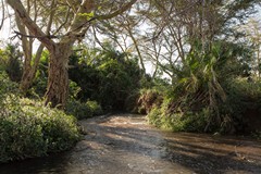 Many small rivers cross the Park