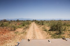 Much of Meru is flat bushy plain