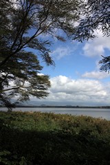 Lake Naivasha