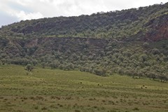 Steep valley walls at Hell's Gate. A variety of large mammals live in the Park