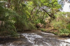 A ford at one of the many rivers crossing the park. The rivers are vital in providing water all year round