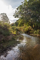 1921 A tributary of the Bwatherongi river in the rhino sanctuary