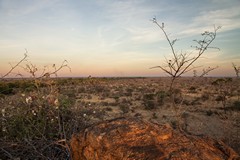 
Panoramic view from Leopard rock