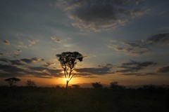 Another beautiful sunset