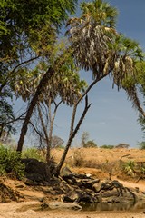 Some of the rivers have dried up and comprise little more than small pools in places