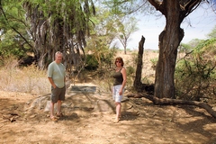 Elsa's grave on the bank of the Ura river. Elsa died from a tick borne disease called Babesia. She was only 5 years old