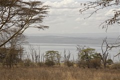 View across the lake