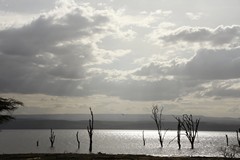 Plenty of clouds but no rain. Three rainy seasons missed in a triple dip La Nina cycle