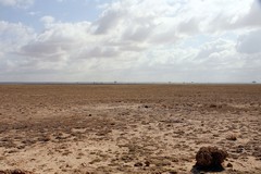 The prolonged drought had scorched much of the plant life so nothing was left. Only consistent rain would restore it. Although the plants are adapted to these conditions it was too much for a lot of the wildlife, which moved into dispersal areas such as Selenkay