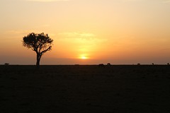 The end of the day, time for sundowners