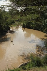 There are numerous small streams and rivers, many of which are seasonal
