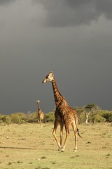 Even at this time of year than can be sudden rainstorms