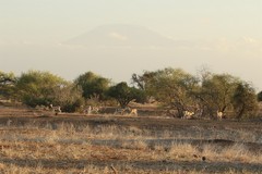 When the clouds are being kind there are plenty of good views of Kilimanjaro from here