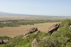 Looking across Olduvai gorge to the Serengeti plains beyond