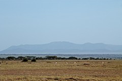 Only the gazelles can survive here when it gets this dry as they can extract all the water they need from their food