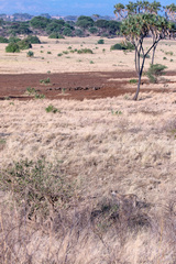 Do you want thick bush or open terrain, or a bit of a mixture? Look at the vegetation types in the parks you are staying at. It may effect the type of camera lenses you need to take