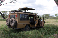 An enclosed vehicle with a pop up top is great if you are a little nervous around dangerous animals. Also if you happen to drive through a localised heavy tsetse fly infestation then you can drop the top and close the windows if you are quick and avoid the worst of the little horrors. Tsetse flies aren't present in many places and sometimes then are only in low numbers so check it out wherever you are heading for first