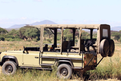 My personal preference is for the open sided vehicle, with a sunroof. You get a great unimpeded view of the wildlife, and feel that little bit more connected in some way. You feel the cool of the breeze more, and you get that addtional frisson of excitement when a lion strolls past about a metre away