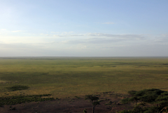 Should you crave the wide open spaces then somewhere like the serengeti is for you. Bear in mind that traffic density will be a lot higher than in the less visited parks, and you could end up sharing your sightings, especially with predators, with lots of other vehicles. Somehow this spoils the moment for me. Sometimes you have no choice though if you really want to see an event like a Mara river crossing