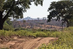 Following the track