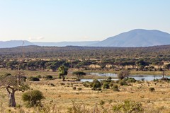 Great Ruaha river valley