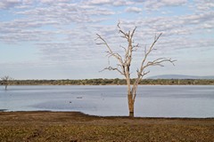 A view across the lake