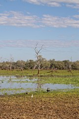 You can clearly see that the exposed lake bed is quckly drying out