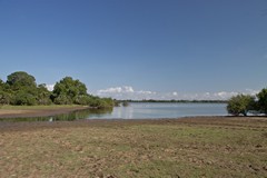 The wide open space at the lakeside provides some temporary grazing until the moisture evaporates