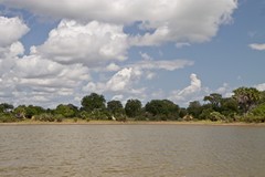 The animals like the visibility of the open areas near the lake shore