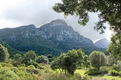 Sandstone mountains of Table Bay overlooking the Botanical Gardens