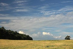 The Sky in late Summer