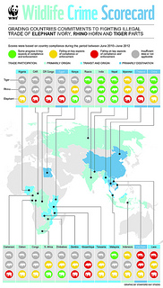 Wildlife Crime Scorecard