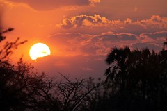 African red Sunset