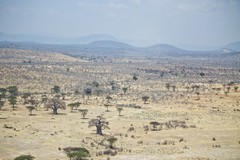 Aerial view of Ruaha