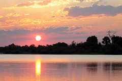 Gorgeous African Sunset