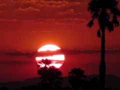 Blood red African Sunset