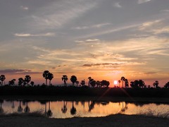 A perfect Sunset in Selous