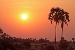 A beautiful sunset in Ruaha