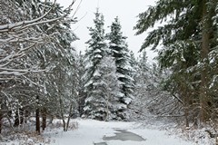 A dusting of snow